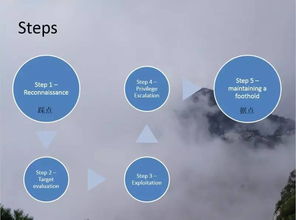 網(wǎng)絡(luò)安全實(shí)戰(zhàn) 從滲透測(cè)試到軟件開發(fā)的全方位能力提升